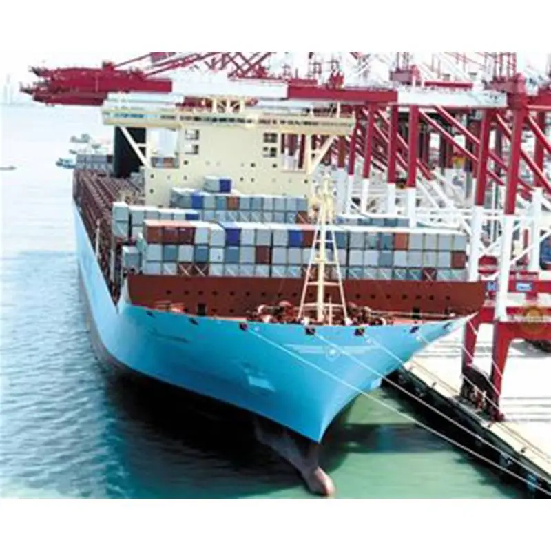 Inzicht in Sea Freight: de ruggengraat van de wereldwijde handel